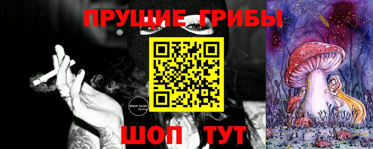 Псилоцибиновые грибы Cubensis Лянтор